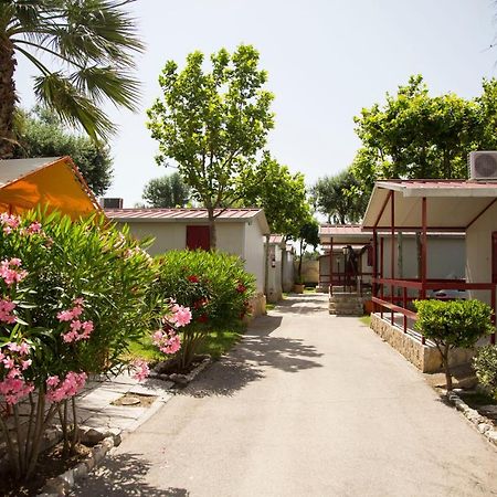 Villaggio Albergo Cervo Zapponeta Ngoại thất bức ảnh