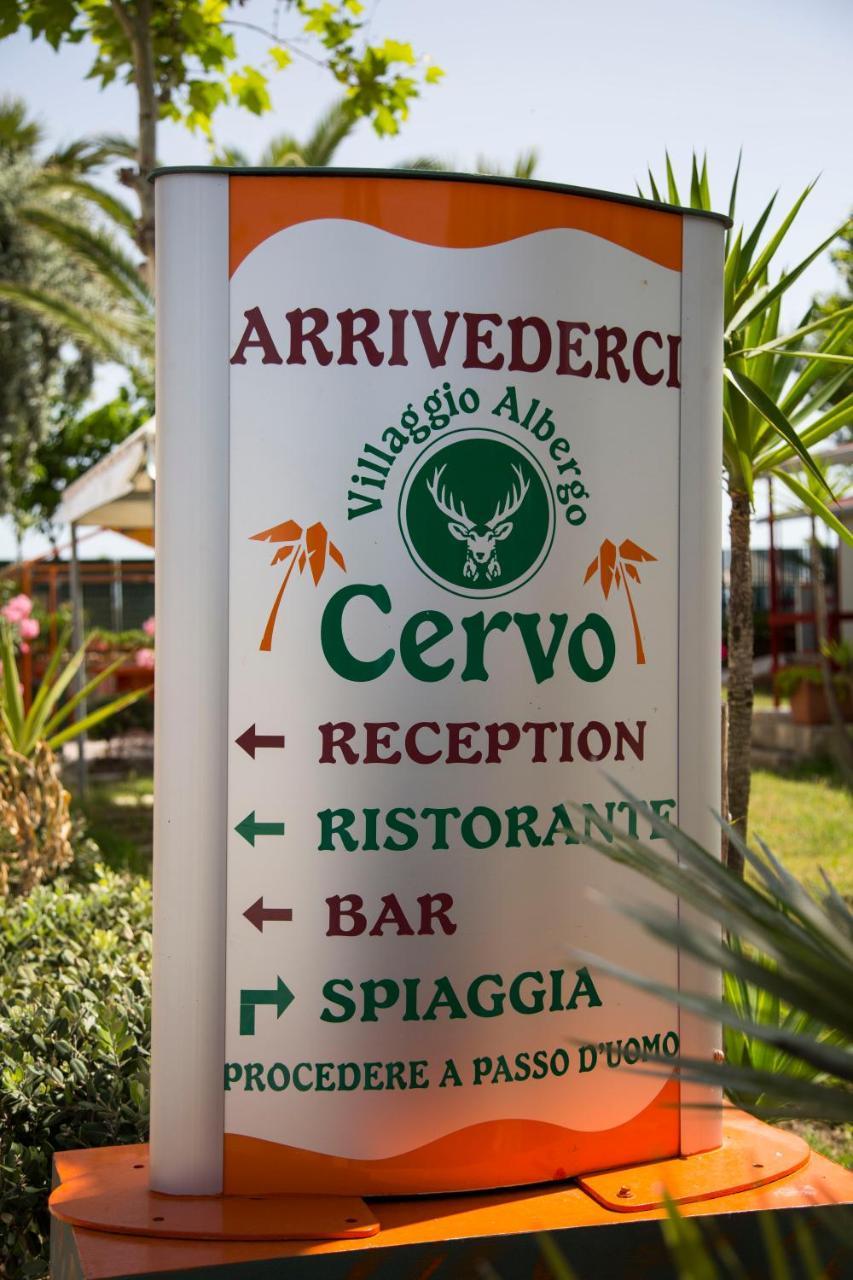 Villaggio Albergo Cervo Zapponeta Ngoại thất bức ảnh